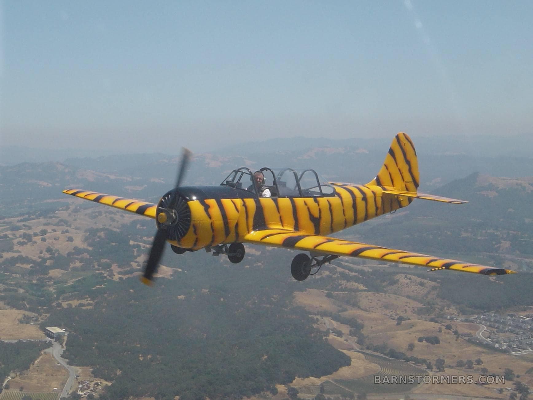 YAK-52 FOR SALE photo 2