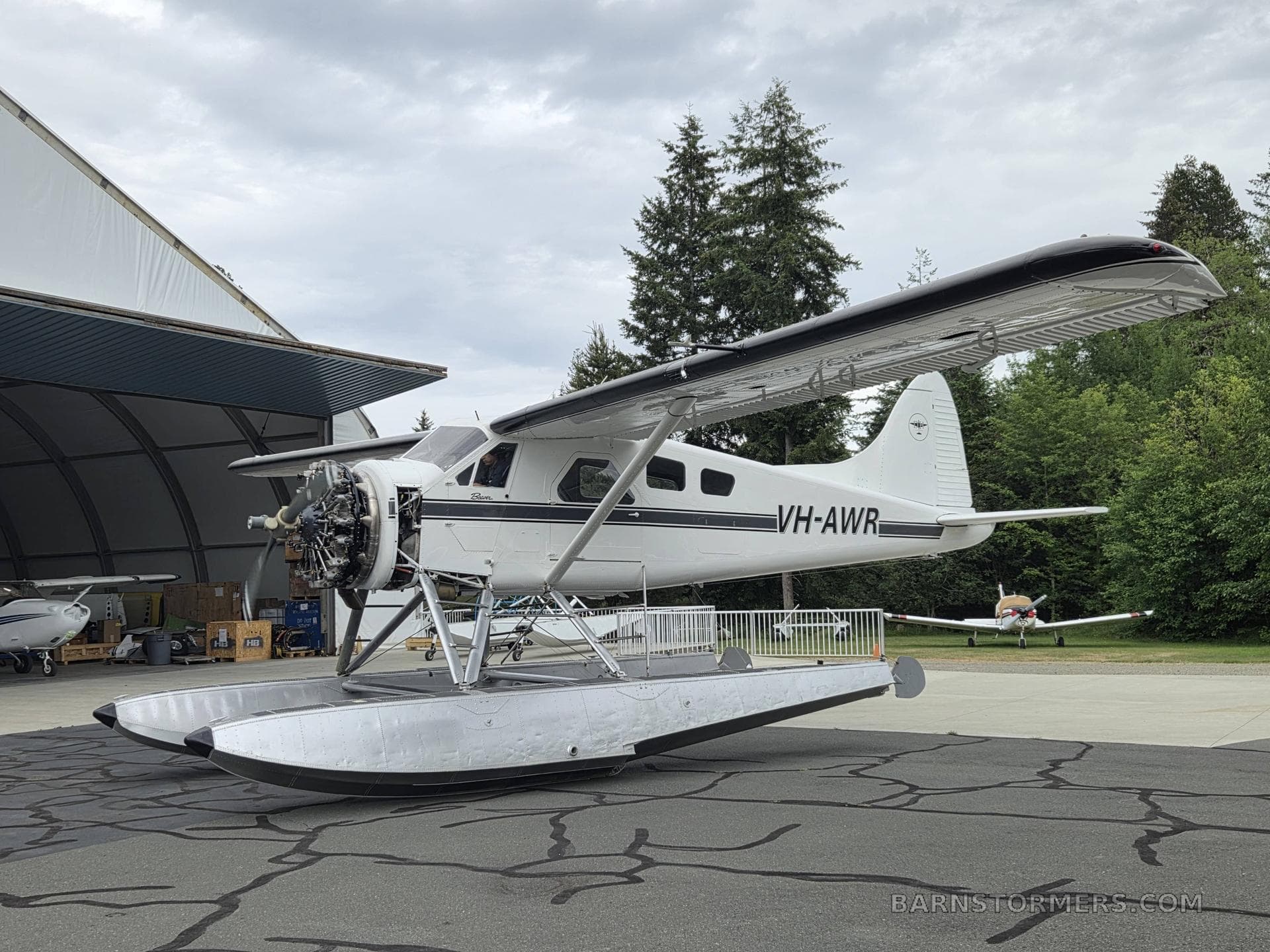 1954 DEHAVILLAND DHC-2 MK I photo 3