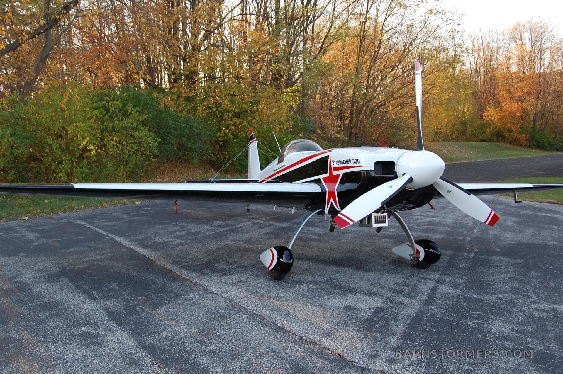 1990 STAUDACHER S-300 AEROBATIC