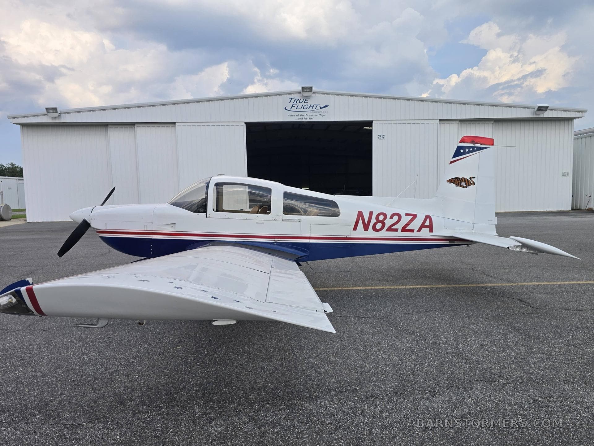 1991 AG5B TIGER photo 2