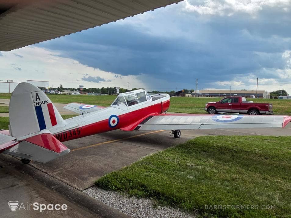 1952 AWARD WINNING CHIPMUNK photo 5