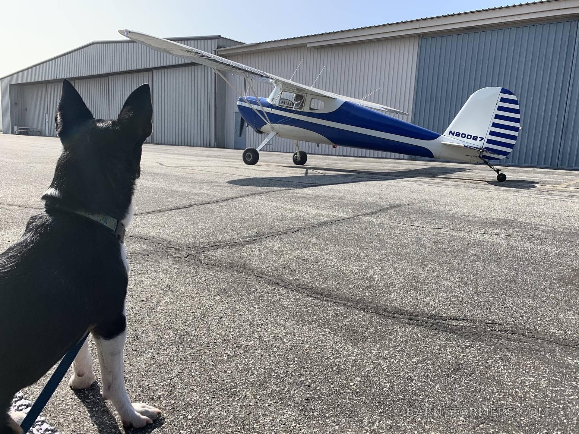 1946 CESSNA 140 photo 1