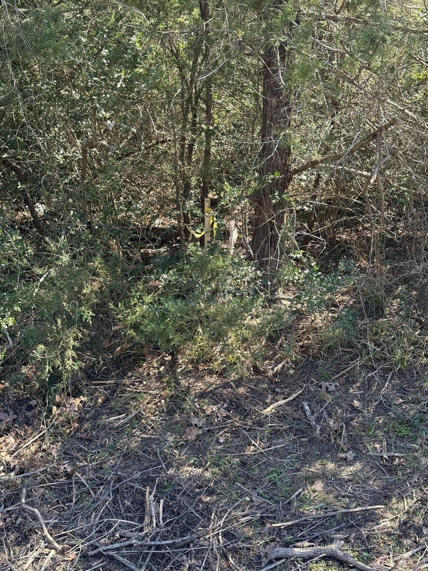 HILLTOP LAKES AIRPORT LOTS photo 5